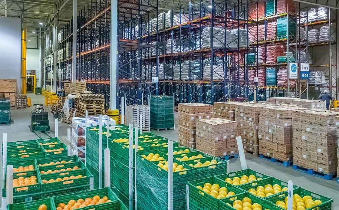 Lager für frisches Obst: eine Unterbrechung der Kühlkette würde die korrekte Konservierung gefährden. Lager für frisches Obst: eine Unterbrechung der Kühlkette würde die korrekte Konservierung gefährden.