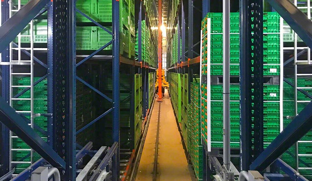 Automatisches Lager von Kiwi Greensun in Portugal, das bei Kühltemperatur arbeitet