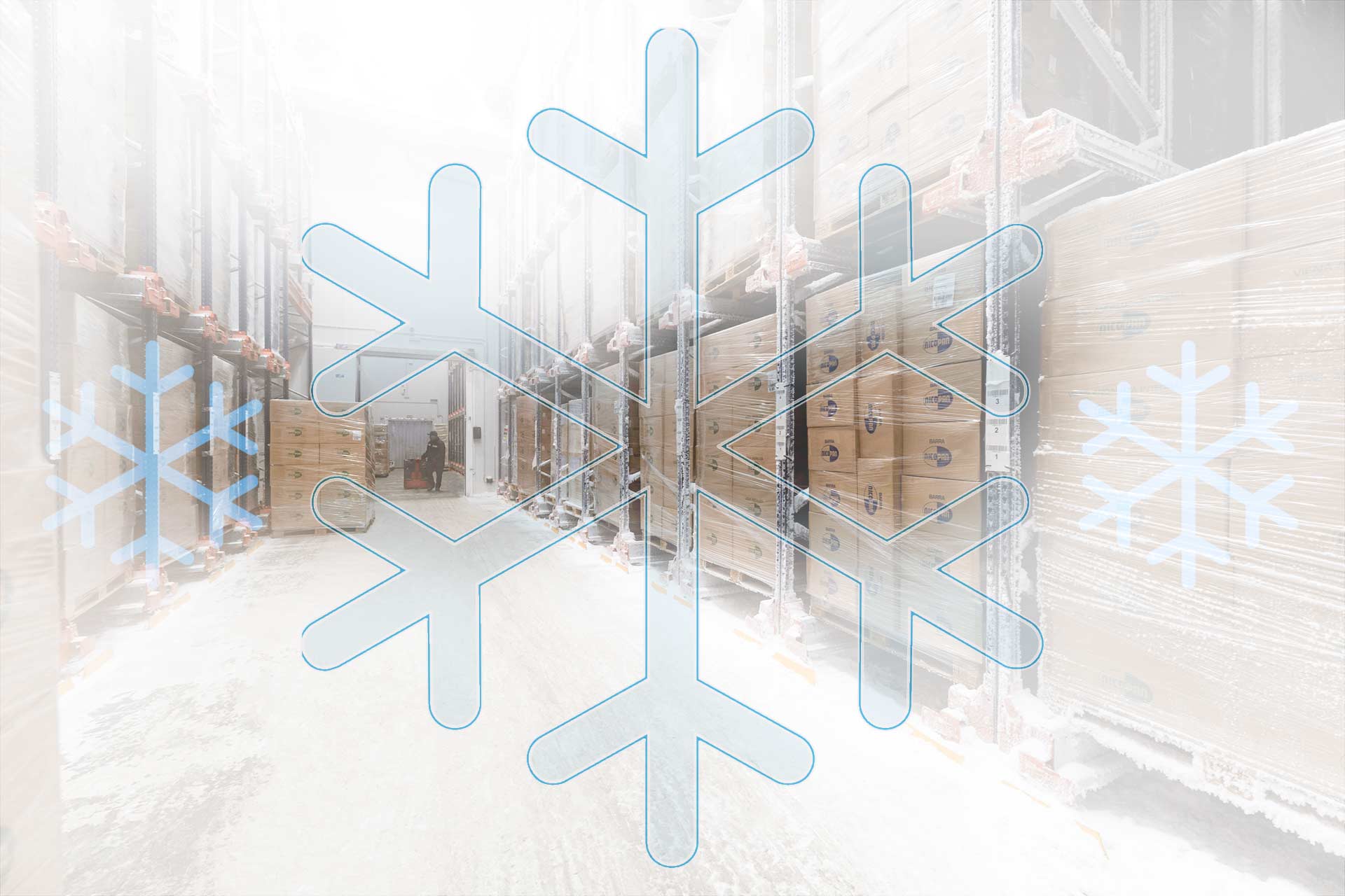 Ein industrielles Tiefkühllager ist ein Ort an dem Waren bei einer Temperatur unter 0 ºC gelagert werden Ein industrielles Tiefkühllager ist ein Ort an dem Waren bei einer Temperatur unter 0 ºC gelagert werden