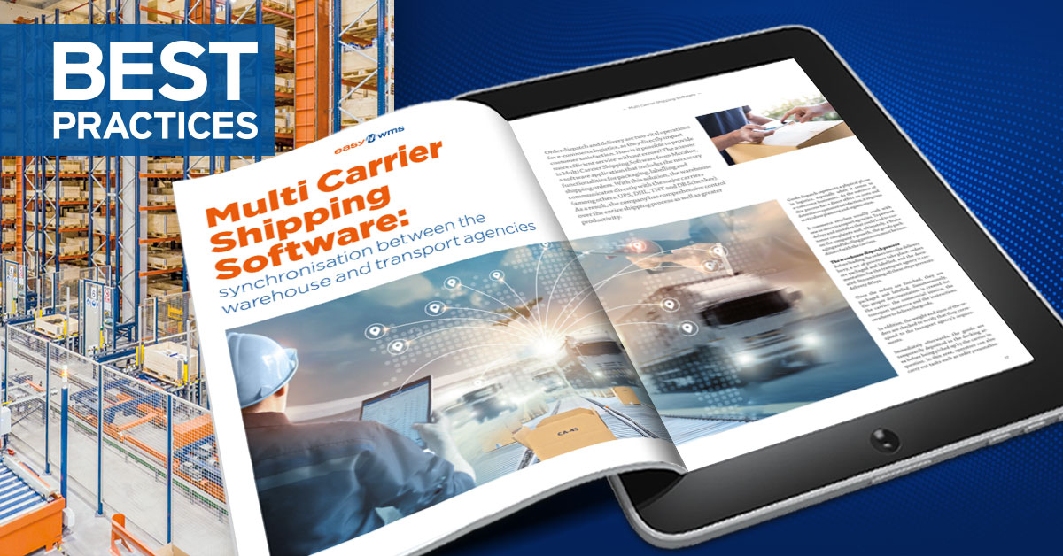 Best Practices: Logistische Effizienz in zehn Kundenprojekten