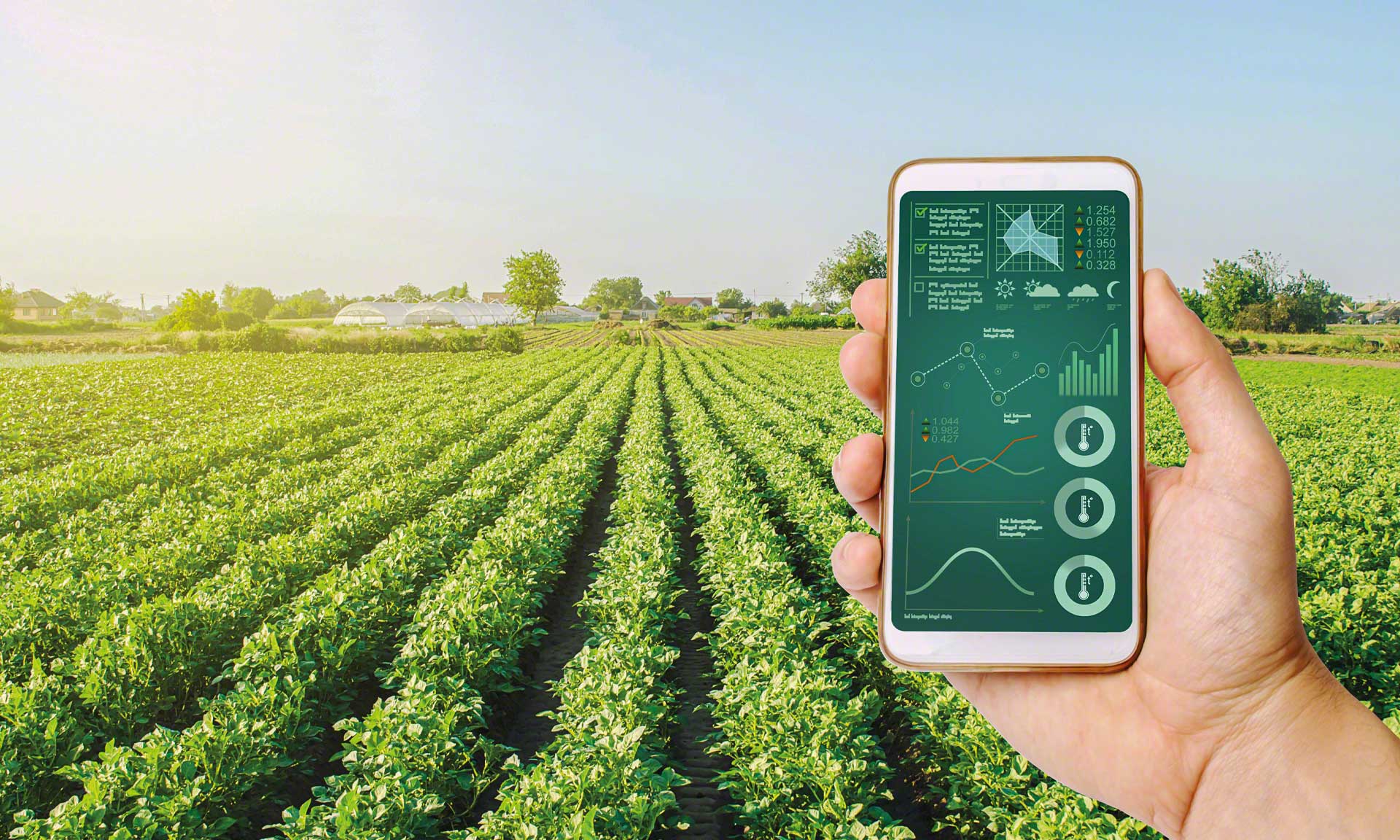 LT Distribution steuert die Rückverfolgbarkeit der Lebensmittel