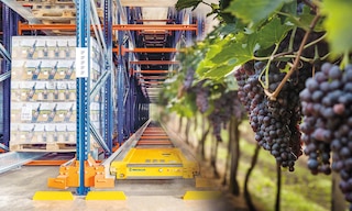 Um armazém de vinhos aumenta sua eficiência e segurança através da automação