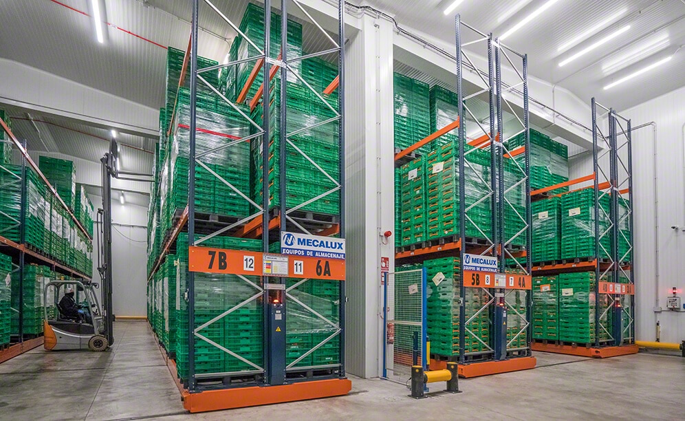 In Bereiche aufgeteiltes Kühllager von Grupo Alimentario Citrus In Bereiche aufgeteiltes Kühllager von Grupo Alimentario Citrus