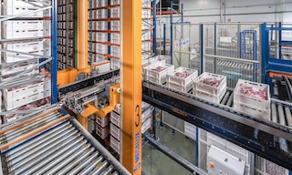 Die Kühlkette in der Logistik