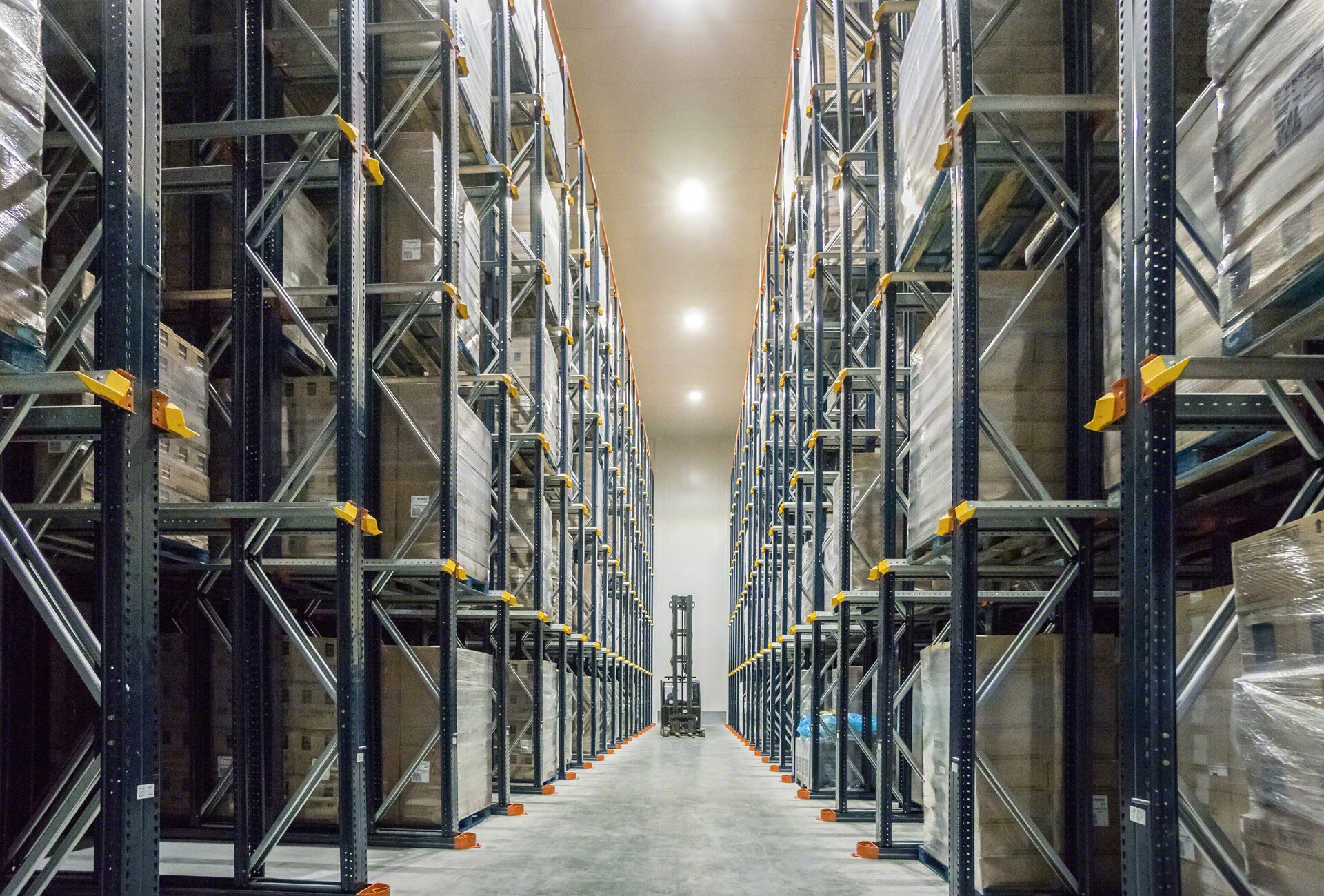 Das Drive-in-System nutzt die Lagerkapazität maximal aus, ein entscheidender Faktor bei Kühllagern