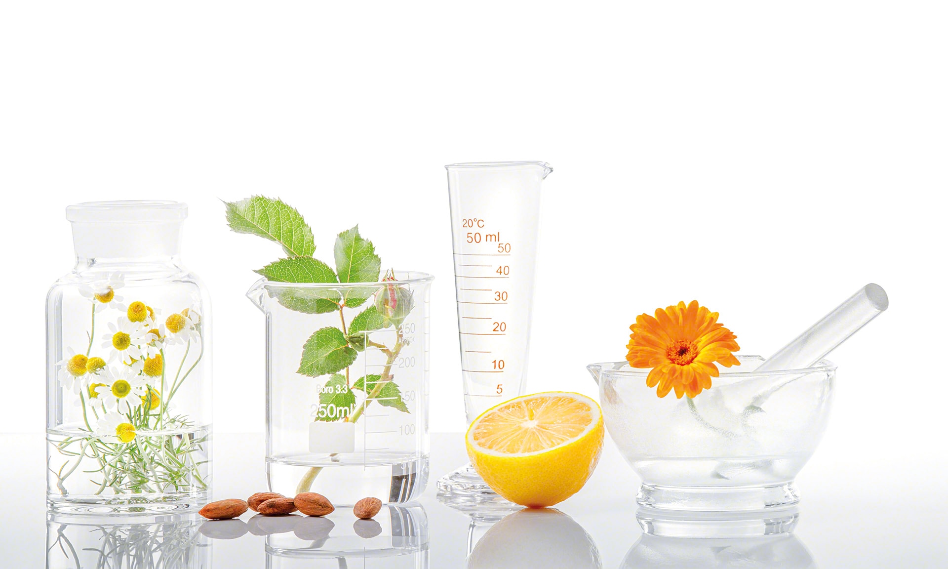 La Source digitalisiert sein Lager für Nahrungsprodukte auf Naturbasis mit Easy WMS La Source digitalisiert sein Lager für Nahrungsprodukte auf Naturbasis mit Easy WMS