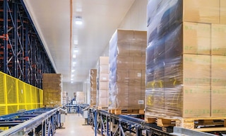 Bem Brasil verwaltet 500.000 Tonnen Tiefkühlware mit dem automatischen Pallet Shuttle-System