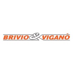 Logo Brivio & Viganò