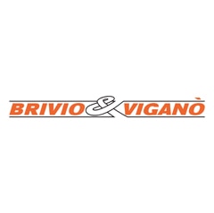 Logo Brivio & Viganò Logo Brivio & Viganò