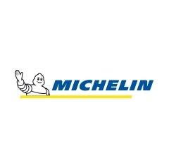 Michelin Logo